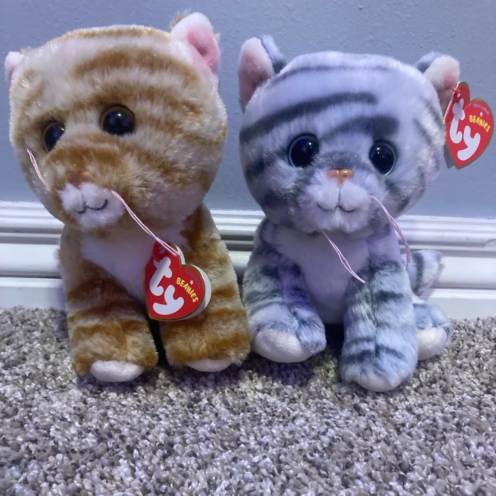 Beanie Boo set